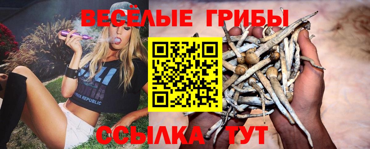 Нефтекумск  Псилоцибиновые грибы MAGIC MUSHROOMS  Вход с VPN 