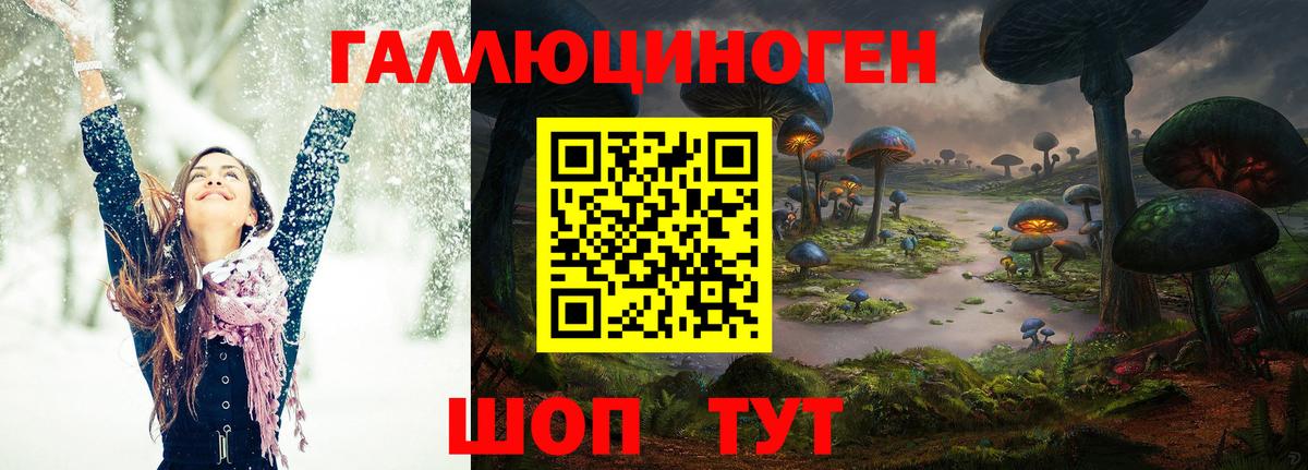 Галлюциногенные грибы GOLDEN TEACHER Нефтекумск